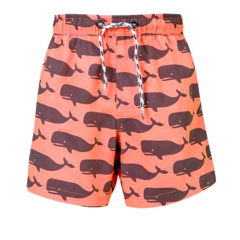 Snapper Rock Whale Pool Shorts